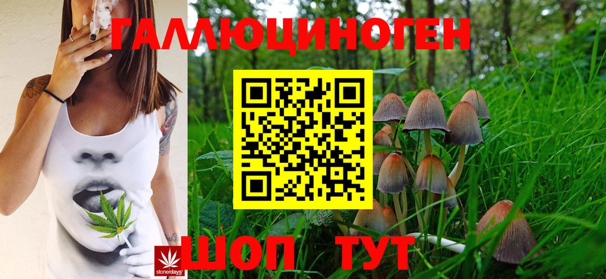 Галлюциногенные грибы Magic Shrooms  Вход с VPN  Волжский 